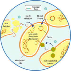 problem of antibiotic resistance
