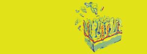 gut bacteria