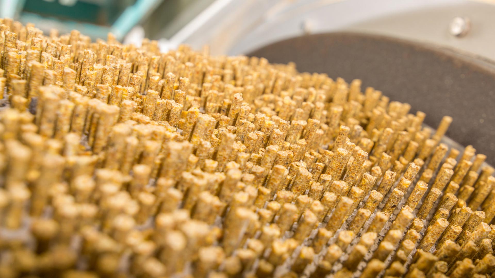 pellet production