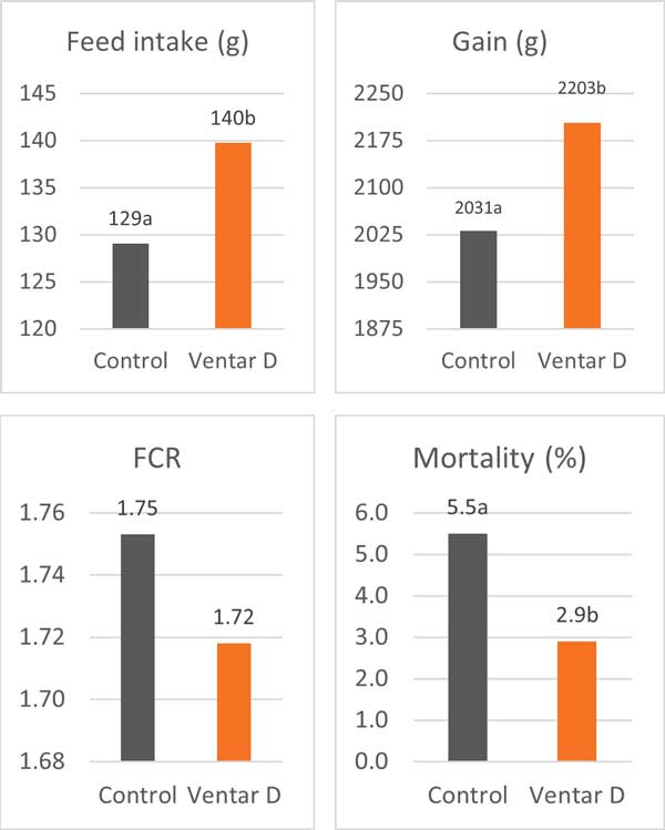 Figure Feed Intake