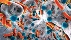 ewn amr and bacteria