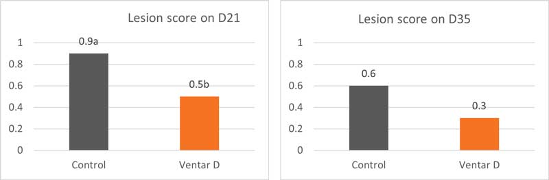 Figure Lesion Score