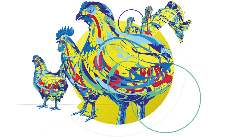 headervisual poultry 1