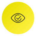 icon vision