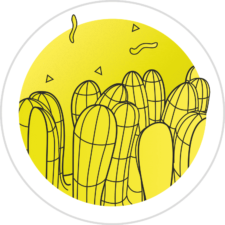 icon program gut health antibiotic reduction