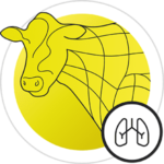 icon respiratory issues ruminants