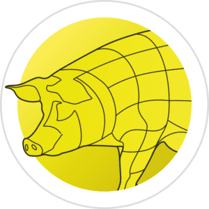 icon swine