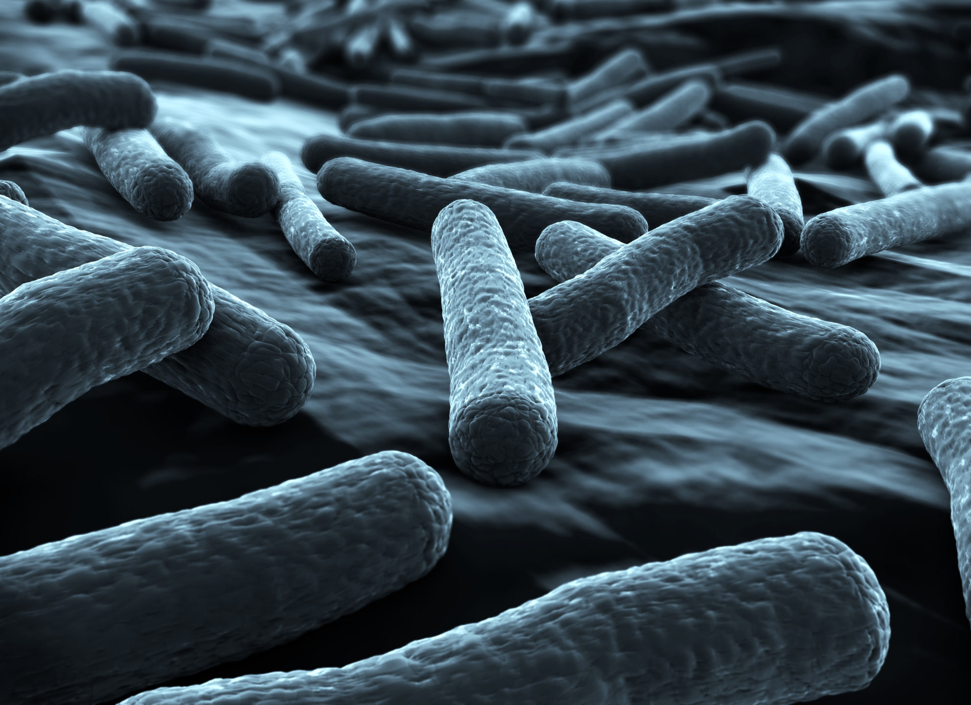 shutterstock 72915925 ecoli scaled